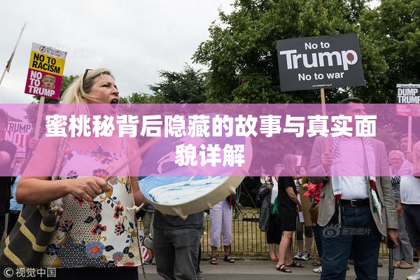 蜜桃秘背后隐藏的故事与真实面貌详解