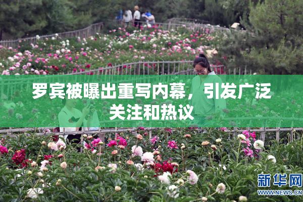罗宾被曝出重写内幕，引发广泛关注和热议