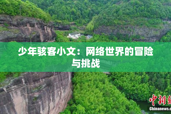 少年骇客小文：网络世界的冒险与挑战