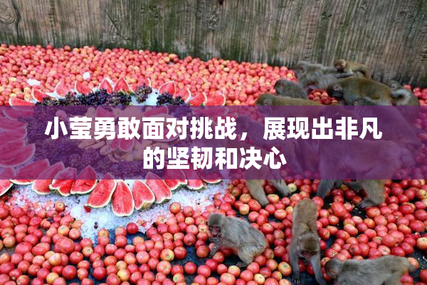 小莹勇敢面对挑战，展现出非凡的坚韧和决心