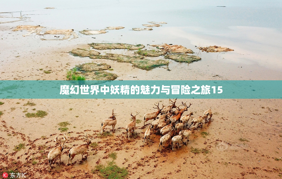 魔幻世界中妖精的魅力与冒险之旅15