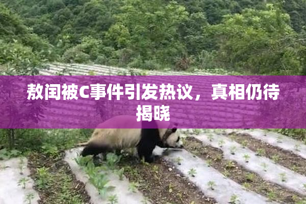 敖闰被C事件引发热议，真相仍待揭晓