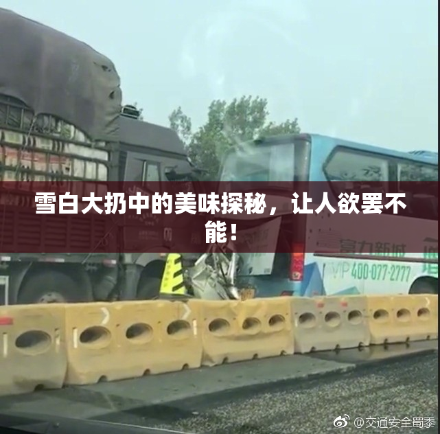 雪白大扔中的美味探秘，让人欲罢不能！