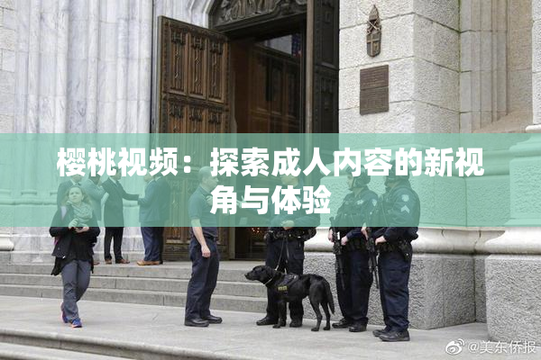 樱桃视频：探索成人内容的新视角与体验