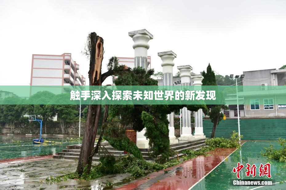 触手深入探索未知世界的新发现
