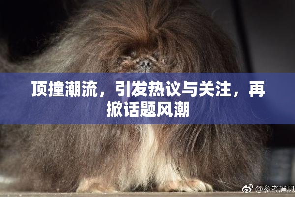 顶撞潮流，引发热议与关注，再掀话题风潮