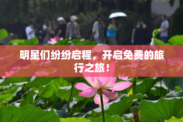 明星们纷纷启程，开启免费的旅行之旅！