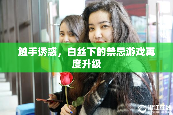 触手诱惑，白丝下的禁忌游戏再度升级