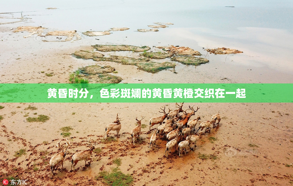 黄昏时分，色彩斑斓的黄昏黄橙交织在一起
