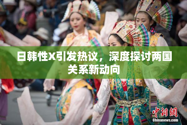 日韩性X引发热议，深度探讨两国关系新动向