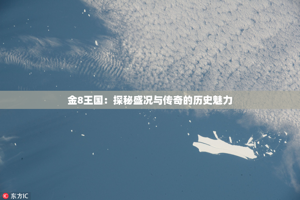 金8王国：探秘盛况与传奇的历史魅力
