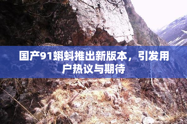 国产91蝌蚪推出新版本，引发用户热议与期待