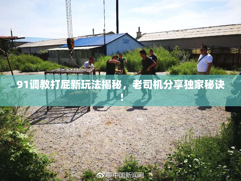 91调教打屁新玩法揭秘，老司机分享独家秘诀！