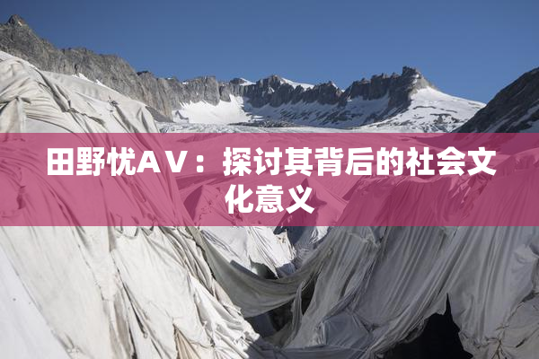 田野忧AⅤ：探讨其背后的社会文化意义