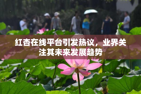 红杏在线平台引发热议，业界关注其未来发展趋势