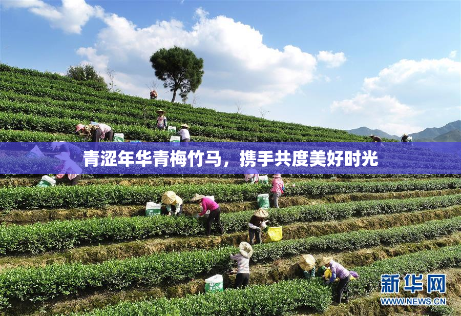 青涩年华青梅竹马，携手共度美好时光