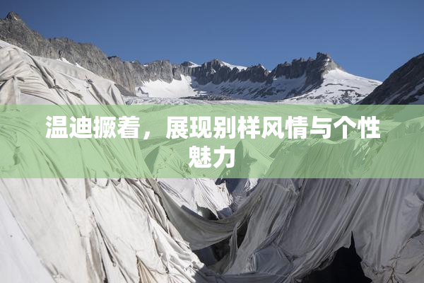 温迪撅着，展现别样风情与个性魅力