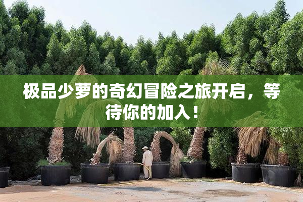 极品少萝的奇幻冒险之旅开启，等待你的加入！