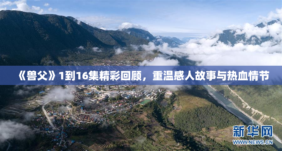 《兽父》1到16集精彩回顾，重温感人故事与热血情节