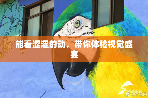 能看涩涩的动，带你体验视觉盛宴