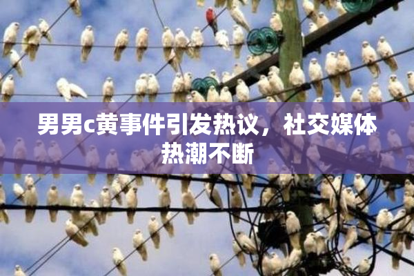 男男c黄事件引发热议，社交媒体热潮不断