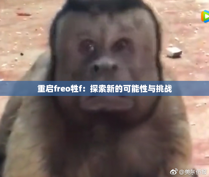 重启freo牲f：探索新的可能性与挑战