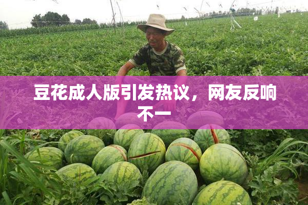 豆花成人版引发热议，网友反响不一