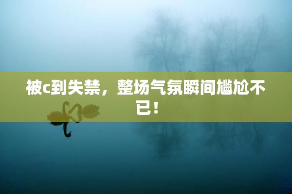 被c到失禁，整场气氛瞬间尴尬不已！