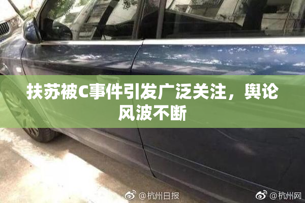 扶苏被C事件引发广泛关注，舆论风波不断