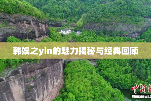 韩娱之yin的魅力揭秘与经典回顾