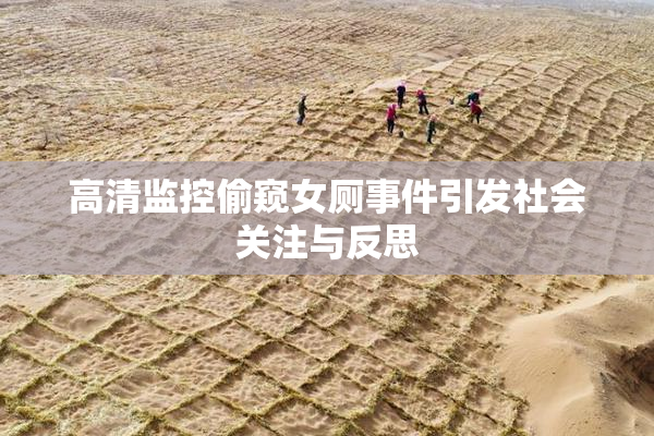 高清监控偷窥女厕事件引发社会关注与反思