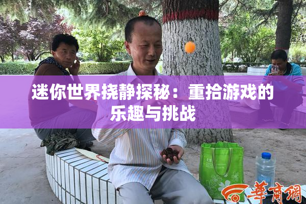 迷你世界挠静探秘：重拾游戏的乐趣与挑战