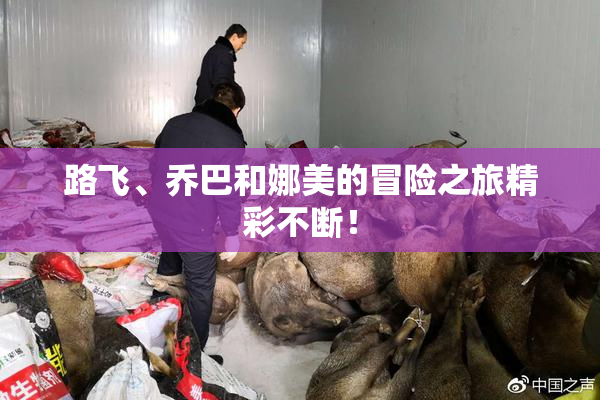 路飞、乔巴和娜美的冒险之旅精彩不断！