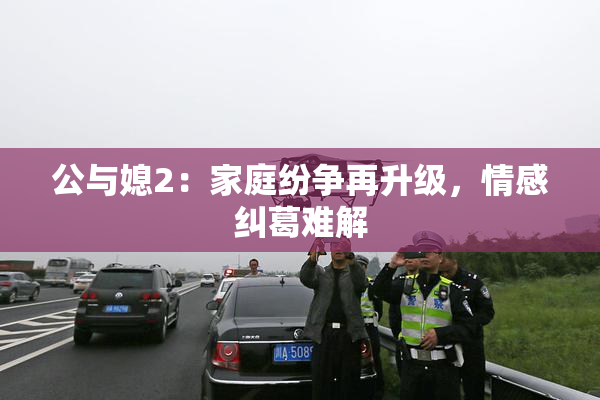 公与媳2：家庭纷争再升级，情感纠葛难解