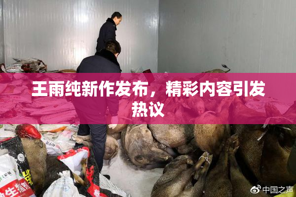 王雨纯新作发布，精彩内容引发热议
