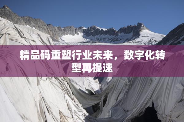 精品码重塑行业未来，数字化转型再提速
