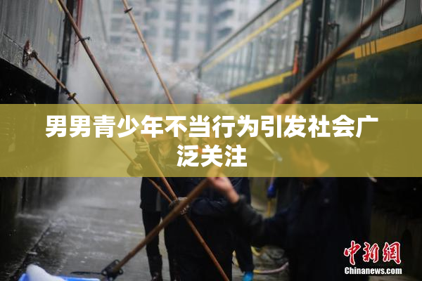 男男青少年不当行为引发社会广泛关注