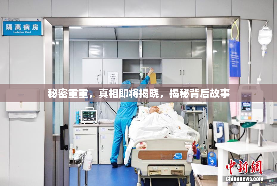 秘密重重，真相即将揭晓，揭秘背后故事