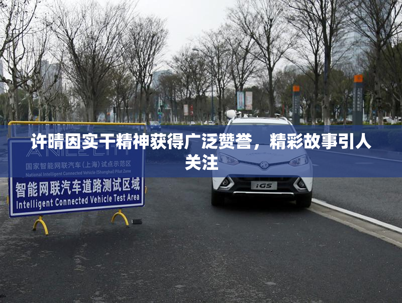 许晴因实干精神获得广泛赞誉，精彩故事引人关注