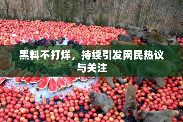 黑料不打烊，持续引发网民热议与关注