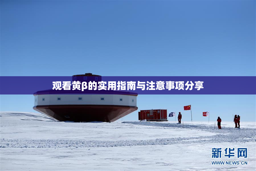 观看黄β的实用指南与注意事项分享