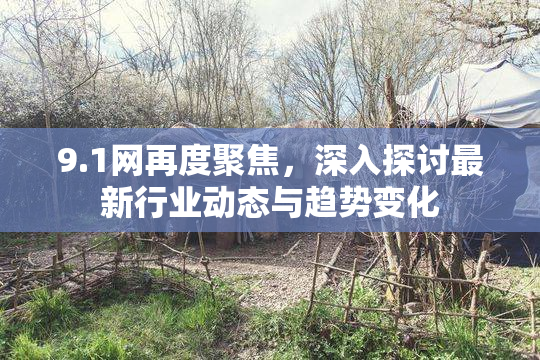 9.1网再度聚焦，深入探讨最新行业动态与趋势变化