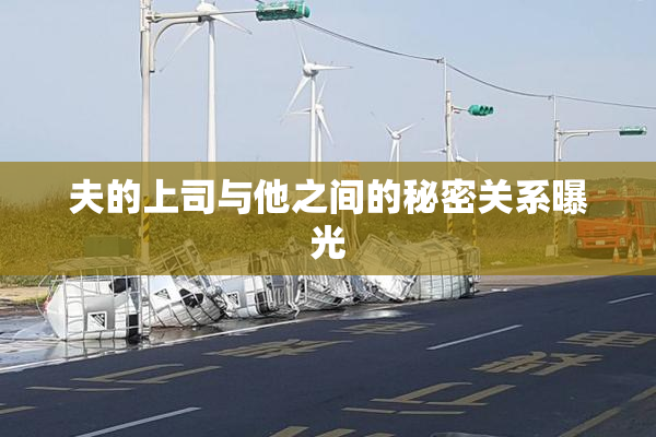 夫的上司与他之间的秘密关系曝光