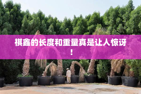 祺鑫的长度和重量真是让人惊讶！