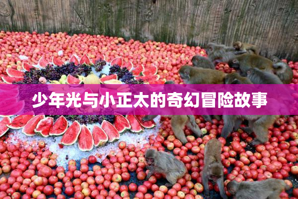 少年光与小正太的奇幻冒险故事