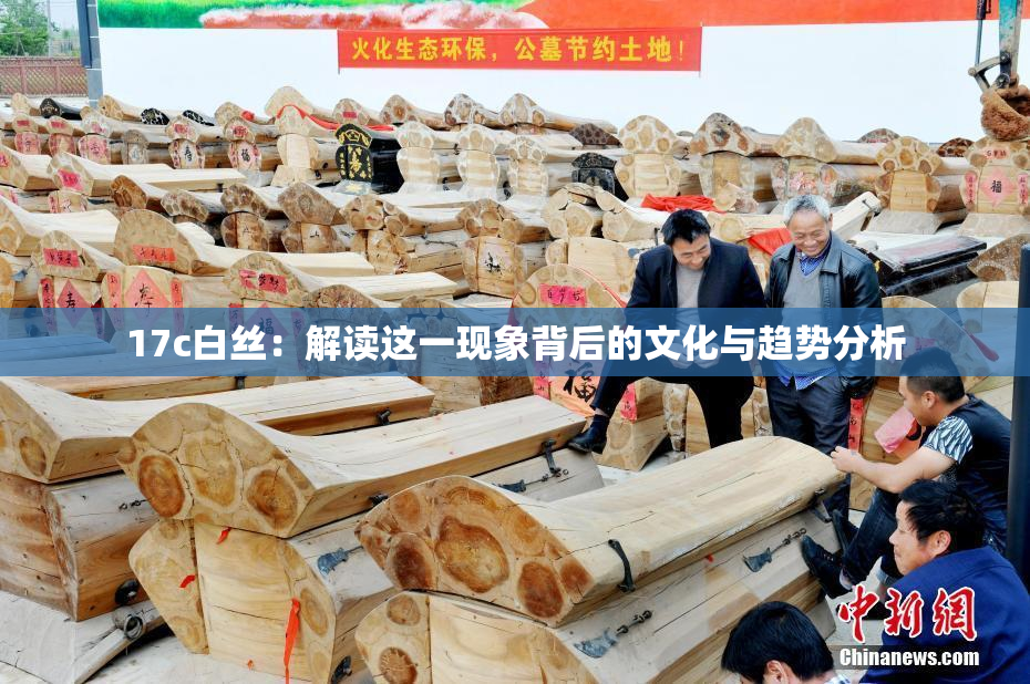 17c白丝：解读这一现象背后的文化与趋势分析