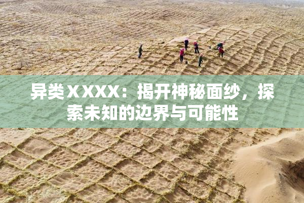 异类ⅩXXX：揭开神秘面纱，探索未知的边界与可能性