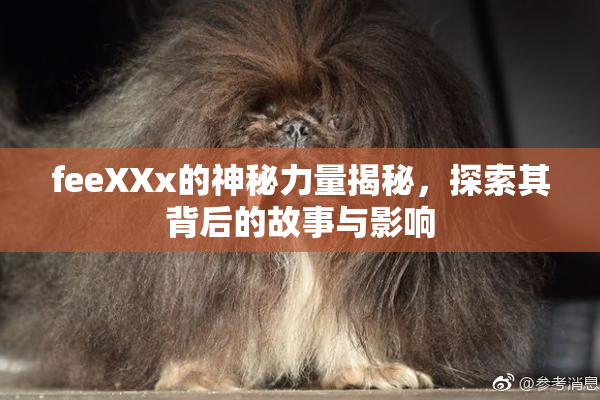 feeXXx的神秘力量揭秘，探索其背后的故事与影响