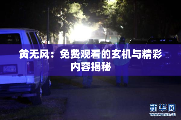 黄无风：免费观看的玄机与精彩内容揭秘