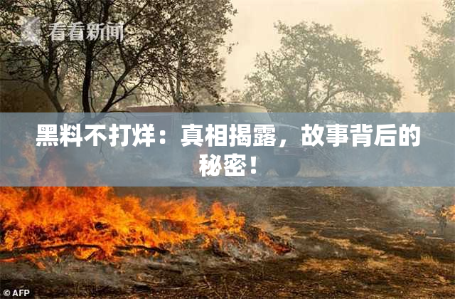 黑料不打烊：真相揭露，故事背后的秘密！